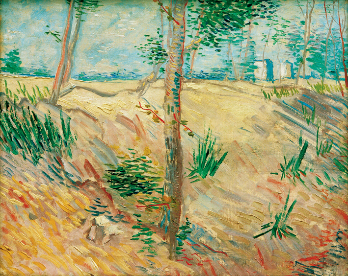  文森特·威廉·梵高  Vincent Willen Van Gogh —— 树 (11)